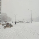 В ВКО завтра ожидаются снег и метель